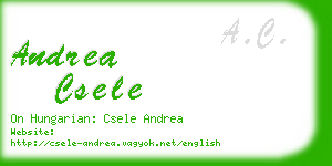 andrea csele business card